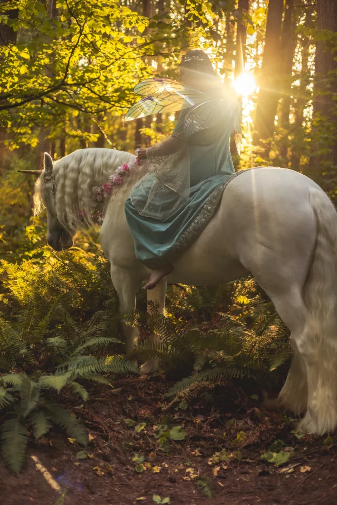 Fraser Valley Equestrian Experince