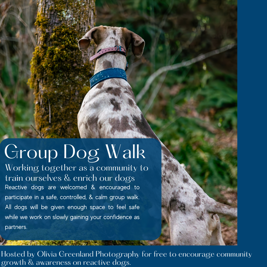 Group Dog Walks along the Coquitlam River