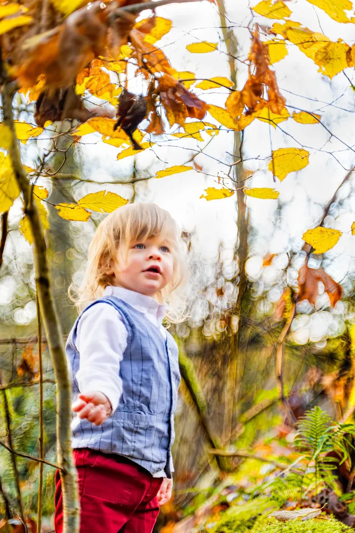 Child holding a dandelion during golden-hour family photography session in nature.
